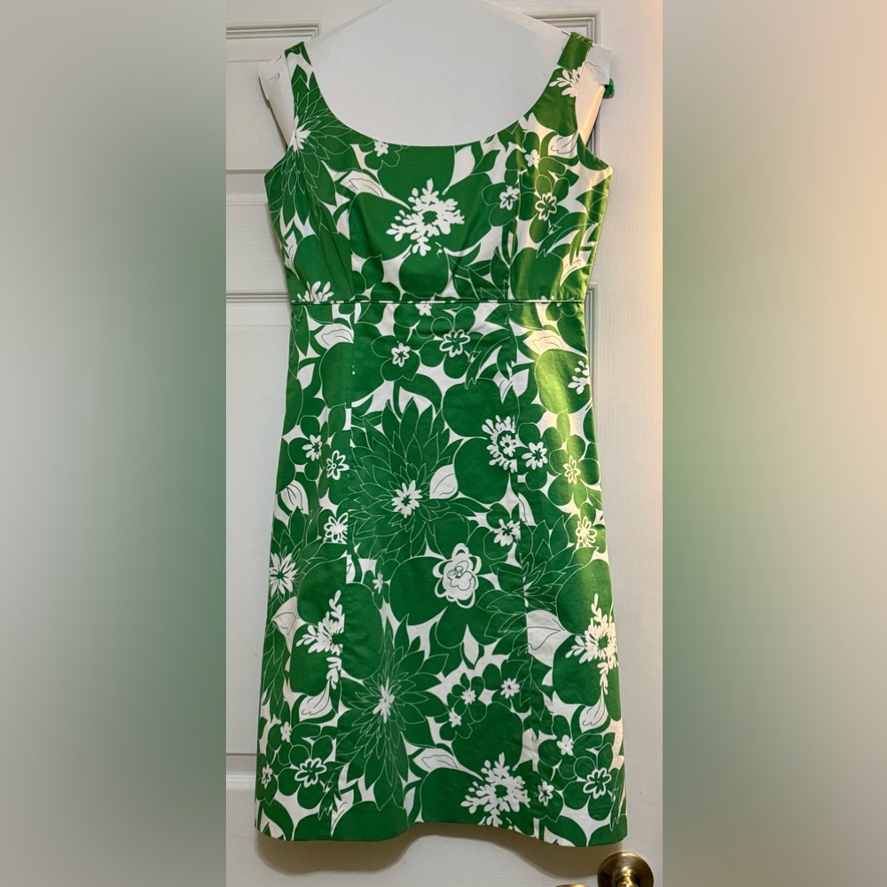 J. Crew Green and White Cotton Dress